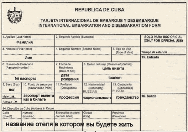 Миграционная карта оаэ образец заполнения